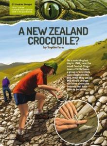 A new zealand crocodile cover.
