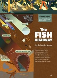 The fish highway cover.