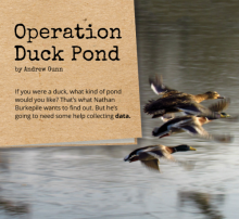 Operation Duck Pond