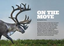 On the Move cover.