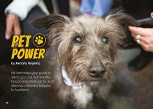 Pet power cover image.