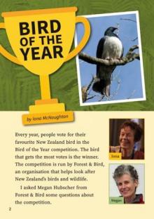 Bird of the Year cover