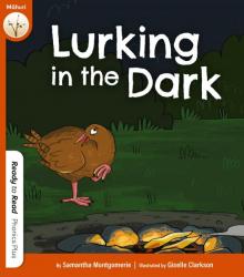 Lurking in the Dark cover image 