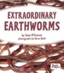 Extraordinary earthworms.