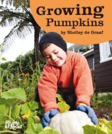 Growing pumpkins. Growing pumpkins.
