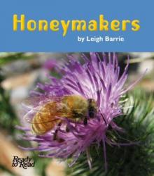 Honey makers. Honey makers.