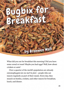 Bugbix for breakfast cover image.