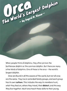 Orca – The World’s Largest Dolphin. 