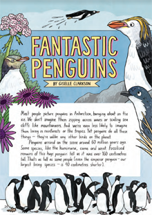 Fantastic Penguins. 