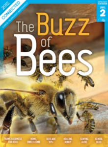 Bees are vips cover image.