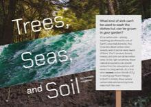 Trees, Seas, and Soil. 