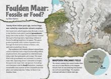 Foulden Maar: Fossils or Food?