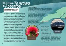 The Waka Te Arawa in Aotearoa. 