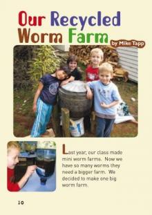 Worm farm.