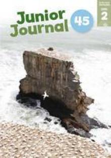 Junior Journal 45, Level 2, 2012