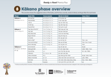Phonics Plus Kākano | Seed phase overview. 
