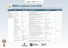 Phonics Plus Māhuri | Sapling phase overview.