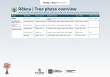 Rākau | Tree Phase Overview image.