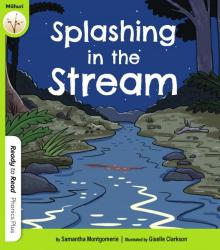 Splashing in the Stream cover image 