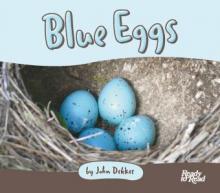 Blue eggs. Blue eggs.