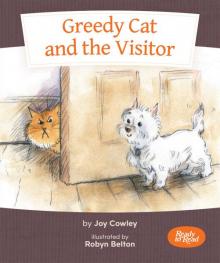 Greedy Cat and the Visitor
