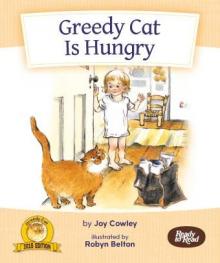 Greedy cat is hungry.