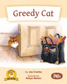 Greedy cat.