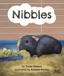 Nibbles cover.