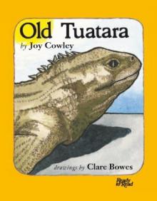 Old tuatara. Old tuatara.
