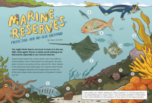 Marine Reserves. 