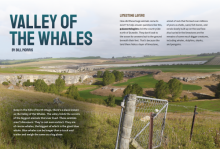 Valley of the Whales.