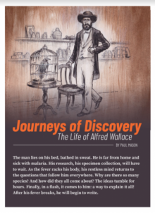 Journeys of Discovery 